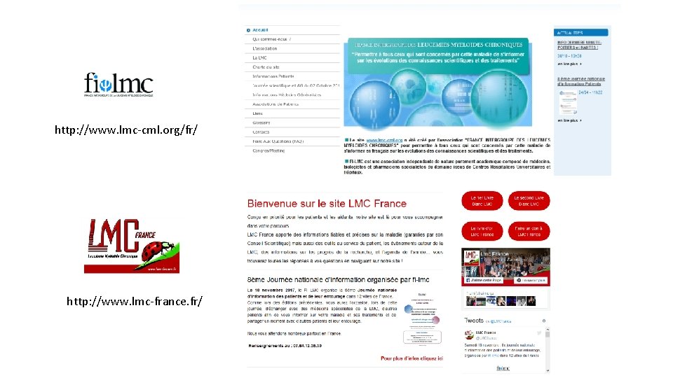 http: //www. lmc-cml. org/fr/ http: //www. lmc-france. fr/ 