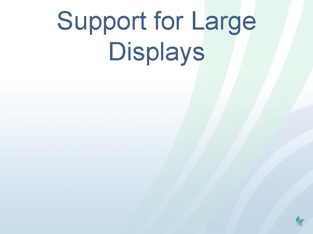 Support for Large Displays 