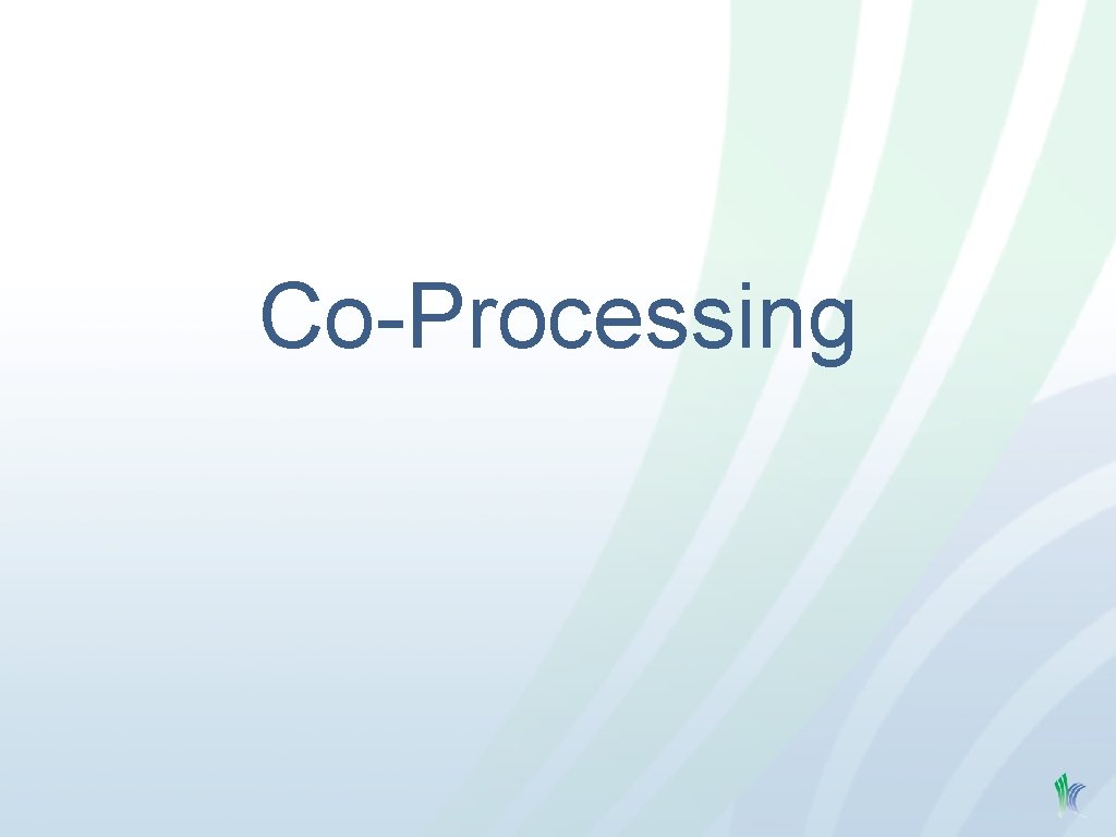 Co-Processing 