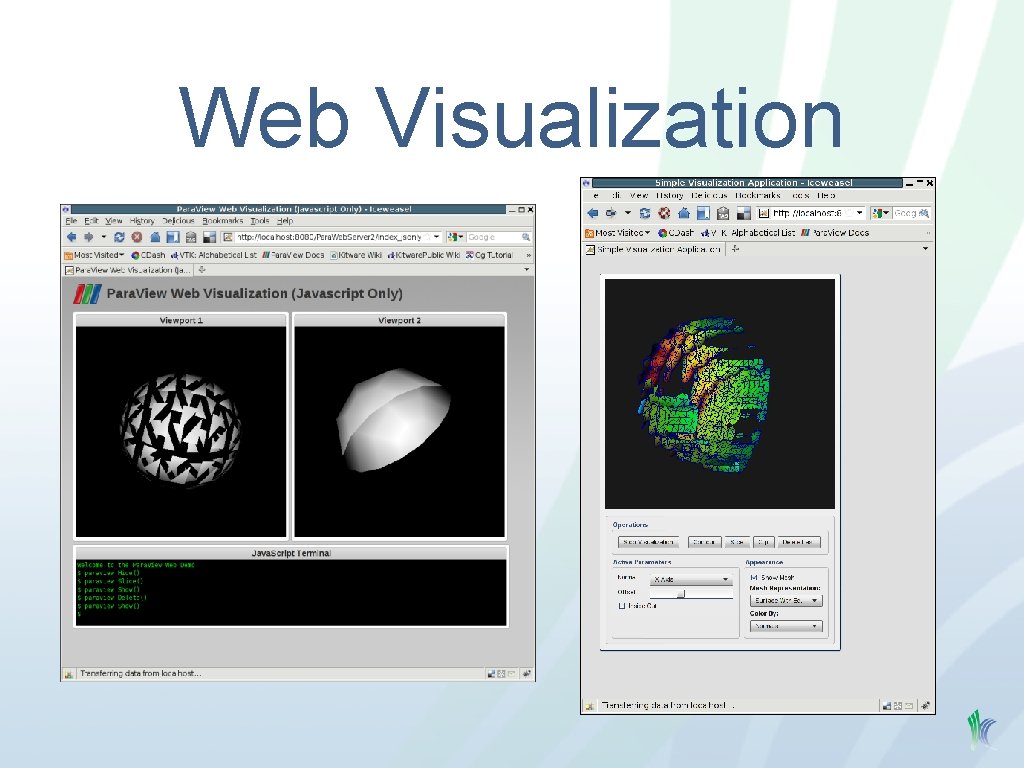 Web Visualization 