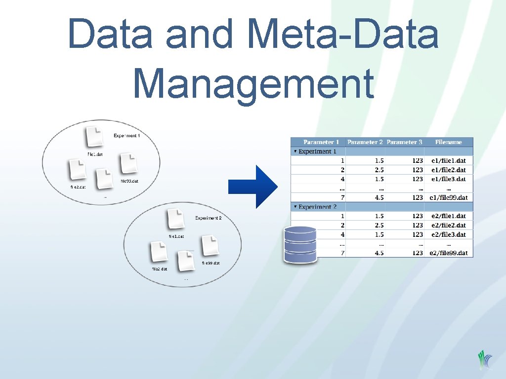 Data and Meta-Data Management 