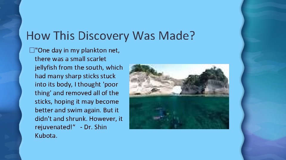 How This Discovery Was Made? �"One day in my plankton net, there was a