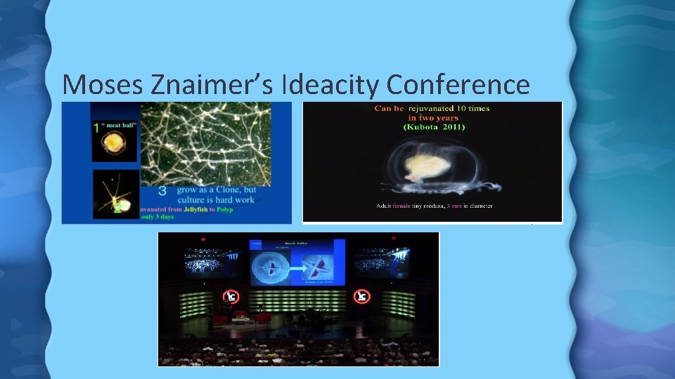 Moses Znaimer’s Ideacity Conference 