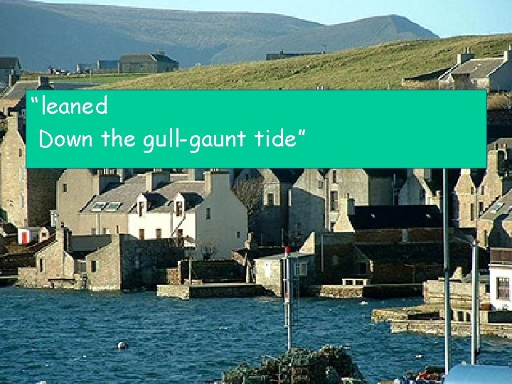 “leaned Down the gull-gaunt tide” 