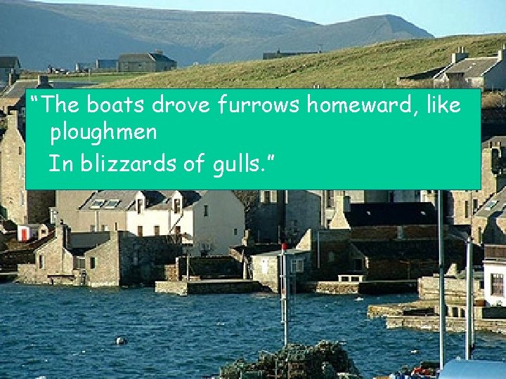 “The boats drove furrows homeward, like ploughmen In blizzards of gulls. ” 