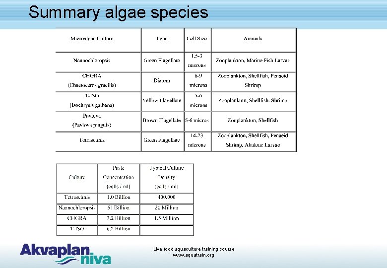 Summary algae species Live food aquaculture training course www. aquatrain. org 
