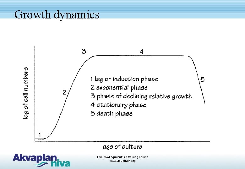 Growth dynamics Live food aquaculture training course www. aquatrain. org 