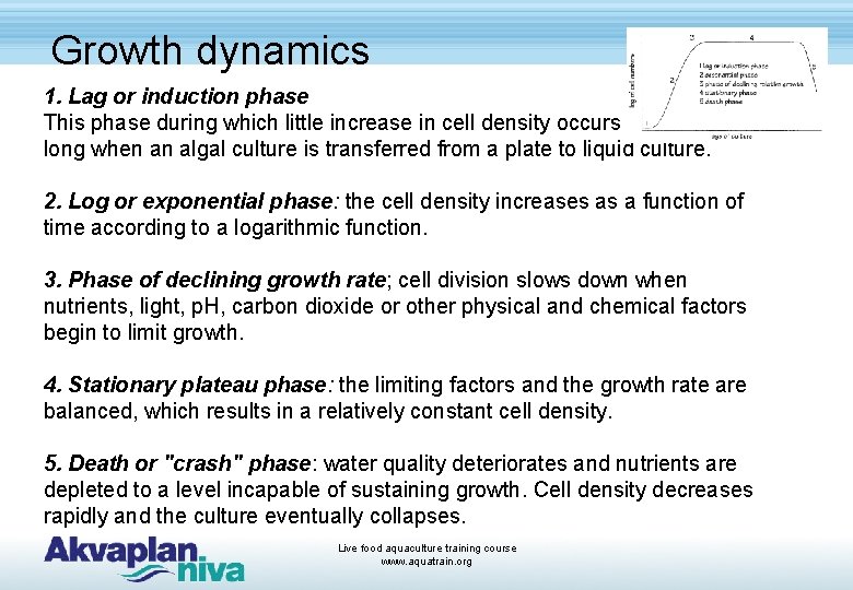 Growth dynamics 1. Lag or induction phase This phase during which little increase in