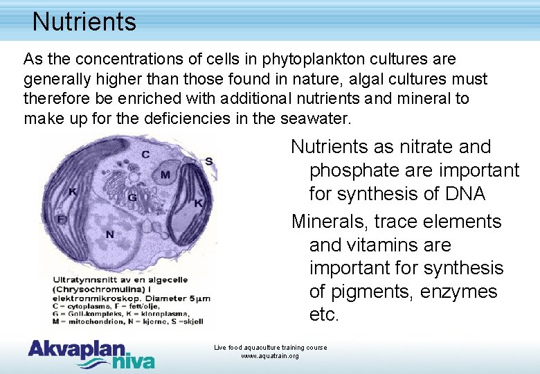 Nutrients As the concentrations of cells in phytoplankton cultures are generally higher than those