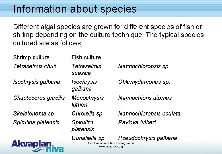 Information about species Different algal species are grown for different species of fish or