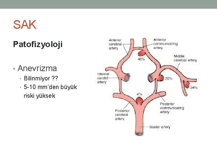 SAK Patofizyoloji • Anevrizma • Bilinmiyor ? ? • 5 -10 mm’den büyük riski