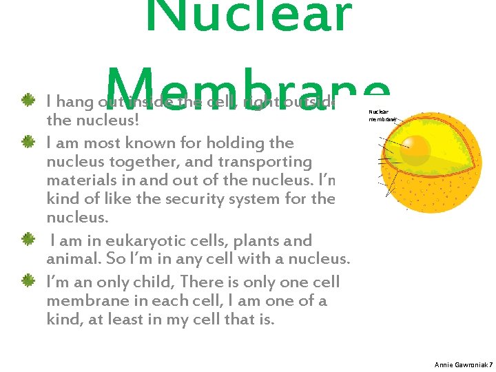 Nuclear Membrane I hang out inside the cell, right outside the nucleus! I am