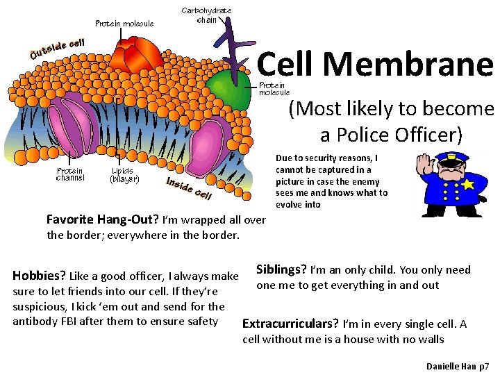 Cell Membrane (Most likely to become a Police Officer) Due to security reasons, I