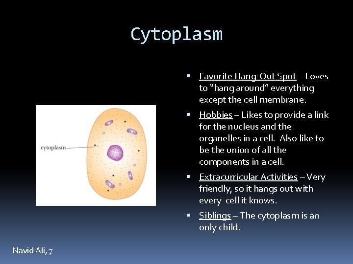 Cytoplasm Favorite Hang-Out Spot – Loves to “hang around” everything except the cell membrane.