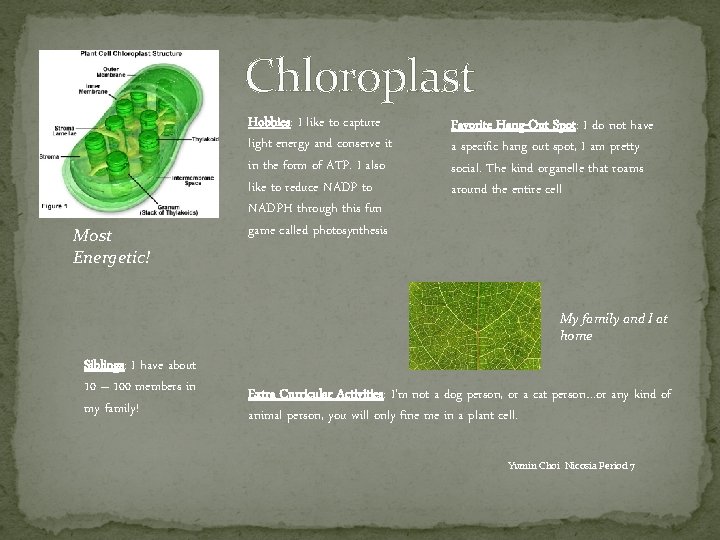 Chloroplast Most Energetic! Hobbies: I like to capture light energy and conserve it in