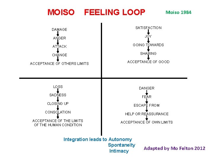MOISO FEELING LOOP Moiso 1984 DAMAGE SATISFACTION ANGER JOY ATTACK GOING TOWARDS CHANGE SHARING