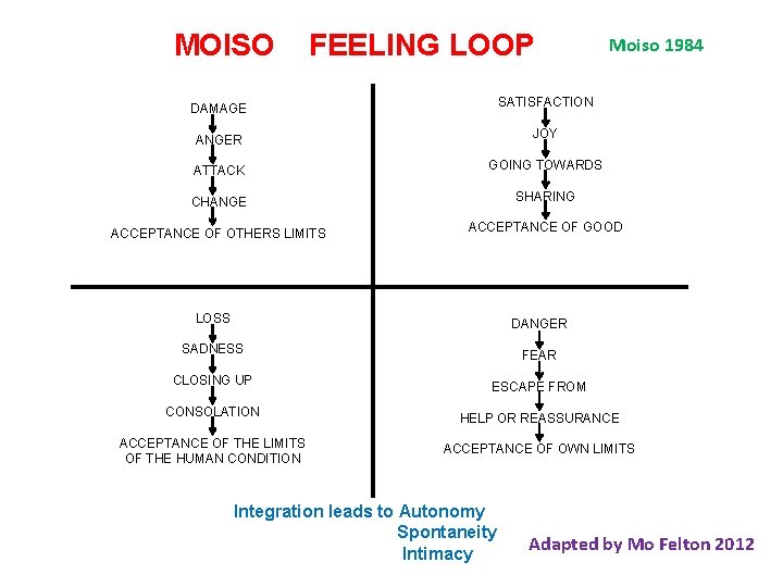 MOISO FEELING LOOP Moiso 1984 DAMAGE SATISFACTION ANGER JOY ATTACK GOING TOWARDS CHANGE SHARING MOISO FEELING LOOP Moiso 1984 DAMAGE SATISFACTION ANGER JOY ATTACK GOING TOWARDS CHANGE SHARING