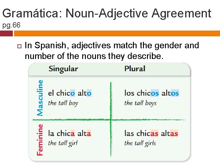 Gramática: Noun-Adjective Agreement pg. 66 In Spanish, adjectives match the gender and number of