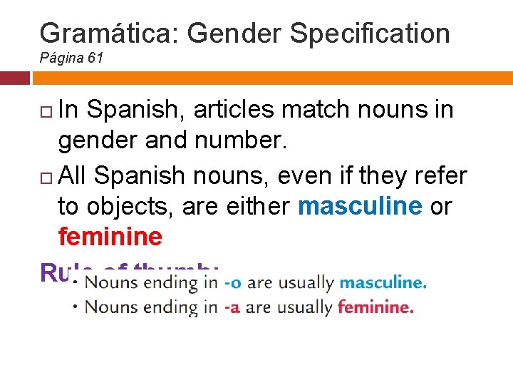 Gramática: Gender Specification Página 61 In Spanish, articles match nouns in gender and number.