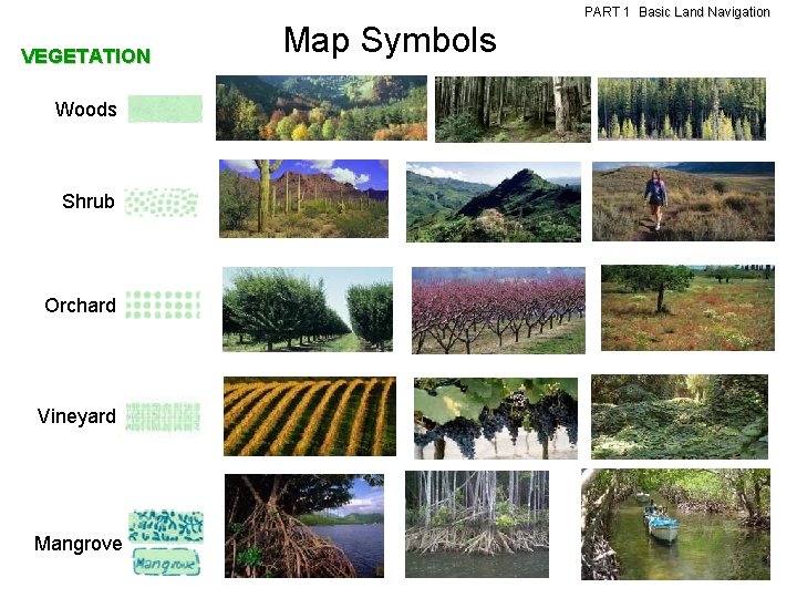 VEGETATION Woods Shrub Orchard Vineyard Mangrove Map Symbols PART 1 Basic Land Navigation VEGETATION Woods Shrub Orchard Vineyard Mangrove Map Symbols PART 1 Basic Land Navigation