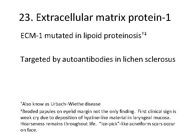 23. Extracellular matrix protein-1 ECM-1 mutated in lipoid proteinosis†‡ Targeted by autoantibodies in lichen