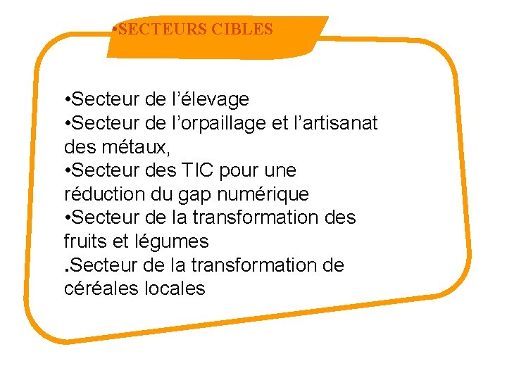  • SECTEURS CIBLES • Secteur de l’élevage • Secteur de l’orpaillage et l’artisanat