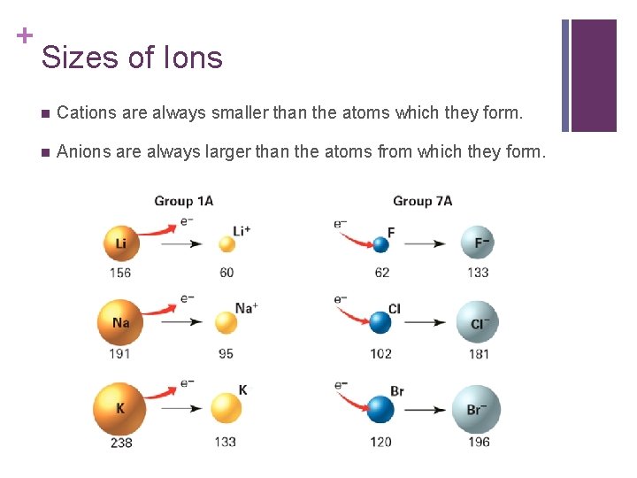 + Sizes of Ions n Cations are always smaller than the atoms which they