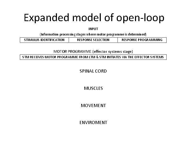Expanded model of open-loop INPUT (Information processing stages where motor programme is determined) STIMULUS