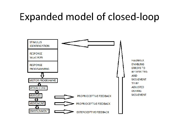 Expanded model of closed-loop 