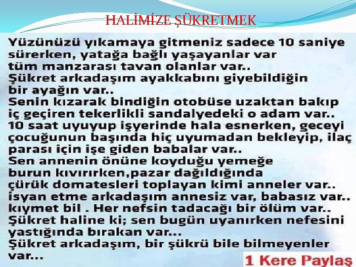 HALİMİZE ŞÜKRETMEK 