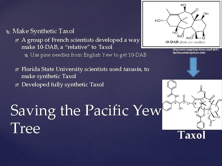  Make Synthetic Taxol A group of French scientists developed a way to make