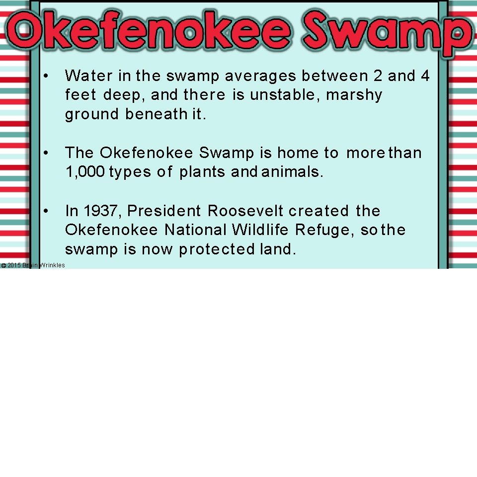  • Water in the swamp averages between 2 and 4 feet deep, and