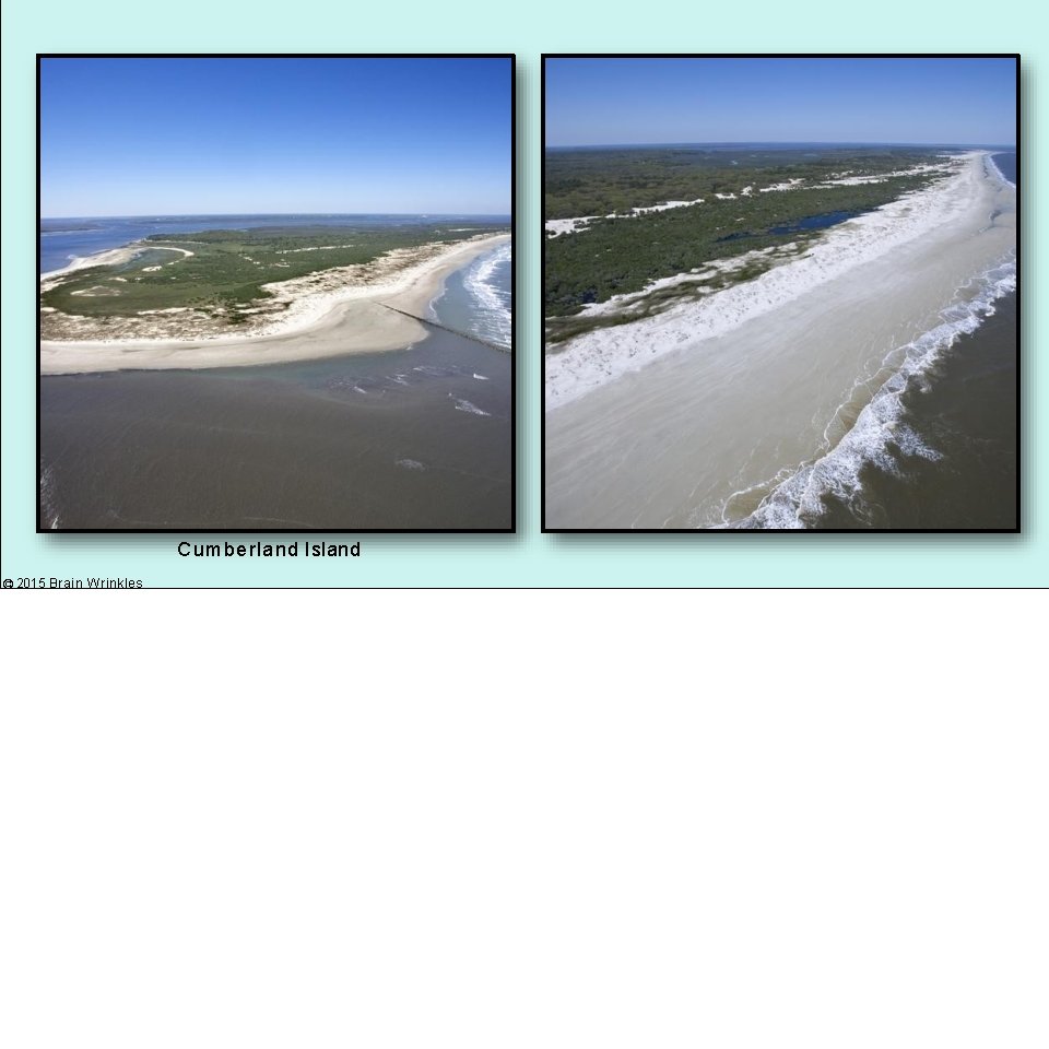 Cumberland Island © 2015 Brain Wrinkles 