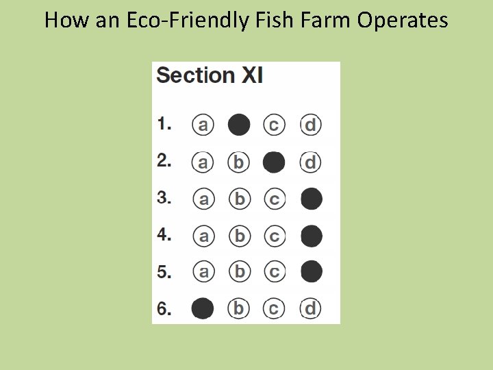How an Eco-Friendly Fish Farm Operates 