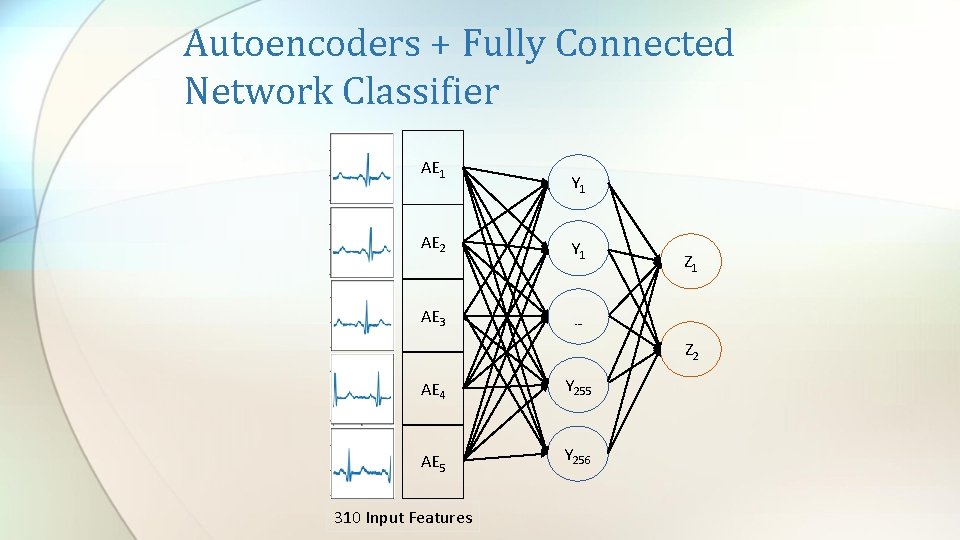 Autoencoders + Fully Connected Network Classifier AE 1 AE 2 AE 3 Y 1 Autoencoders + Fully Connected Network Classifier AE 1 AE 2 AE 3 Y 1
