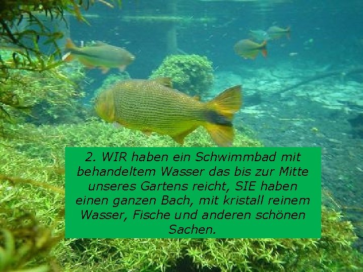 2. WIR haben ein Schwimmbad mit behandeltem Wasser das bis zur Mitte unseres Gartens