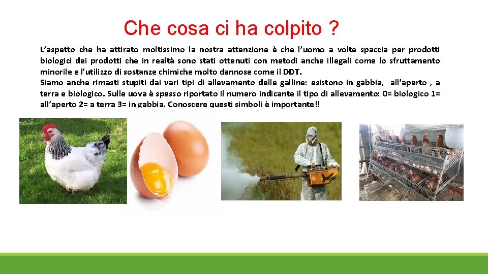 Che cosa ci ha colpito ? L’aspetto che ha attirato moltissimo la nostra attenzione