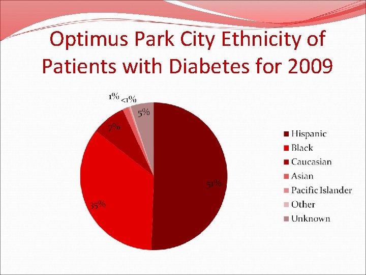 Optimus Park City Ethnicity of Patients with Diabetes for 2009 