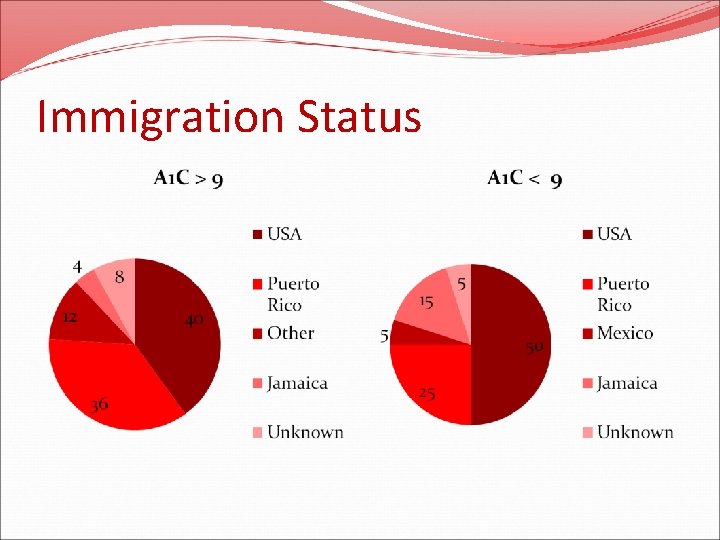 Immigration Status 