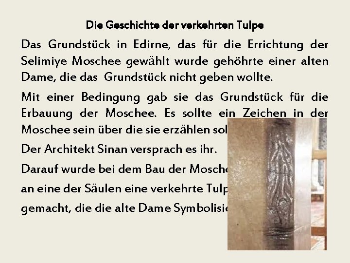 Die Geschichte der verkehrten Tulpe Das Grundstück in Edirne, das für die Errichtung der