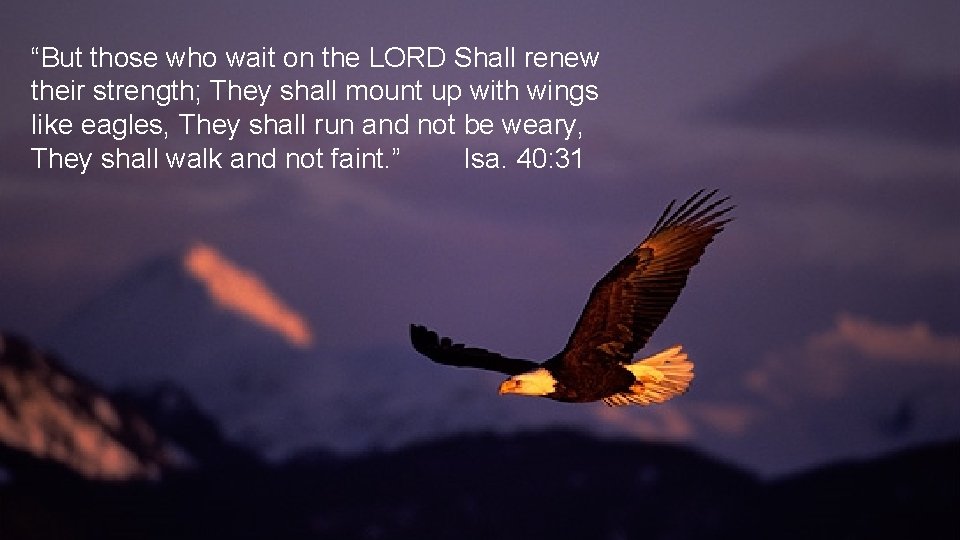“But those who wait on the LORD Shall renew their strength; They shall mount