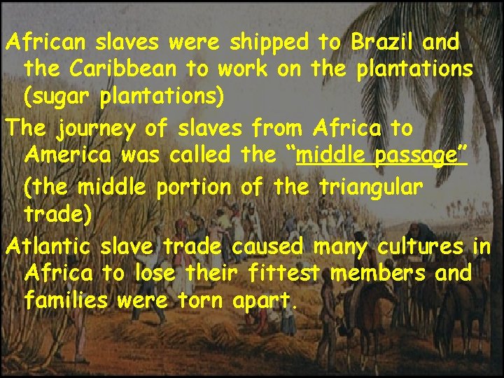 African slaves were shipped to Brazil and the Caribbean to work on the plantations