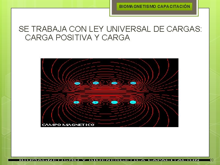 BIOMAGNETISMO CAPACITACIÓN SE TRABAJA CON LEY UNIVERSAL DE CARGAS: CARGA POSITIVA Y CARGA 20