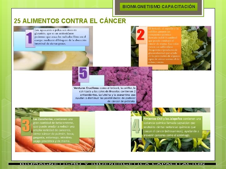 BIOMAGNETISMO CAPACITACIÓN 25 ALIMENTOS CONTRA EL CÁNCER 