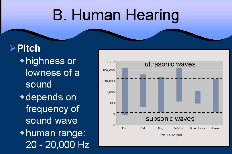 B. Human Hearing ØPitch w highness or lowness of a sound w depends on