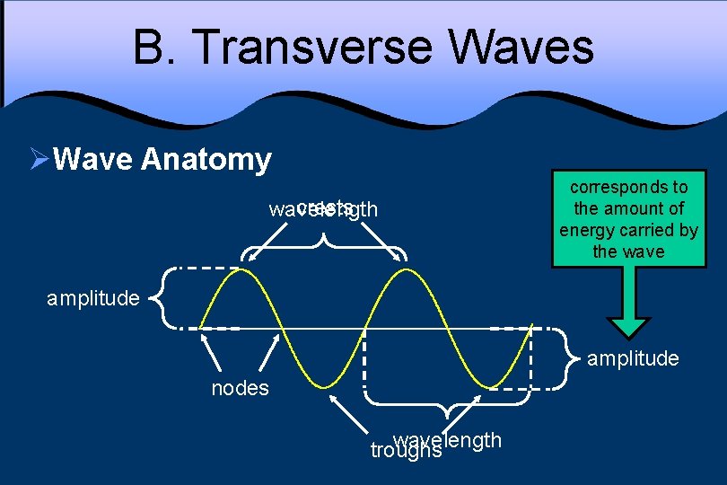 B. Transverse Waves ØWave Anatomy crests wavelength corresponds to the amount of energy carried