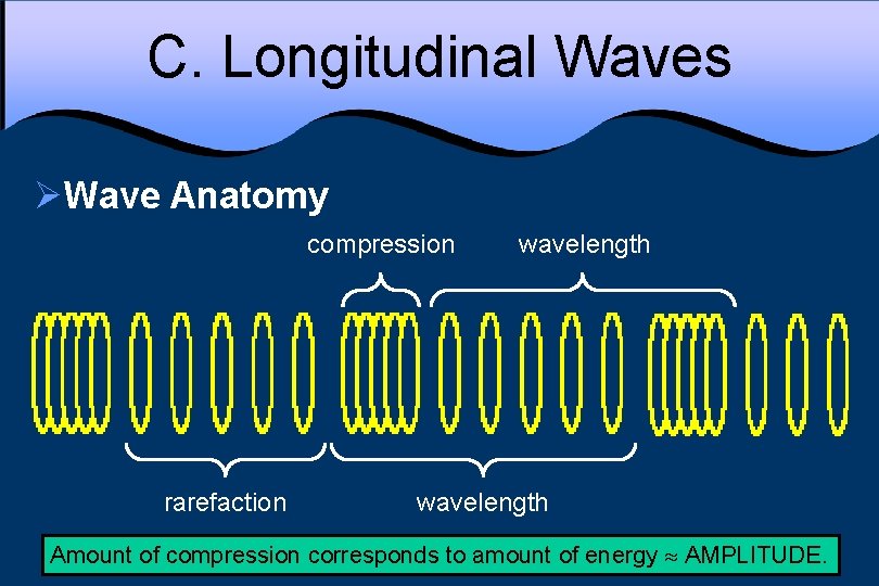 C. Longitudinal Waves ØWave Anatomy compression rarefaction wavelength Amount of compression corresponds to amount
