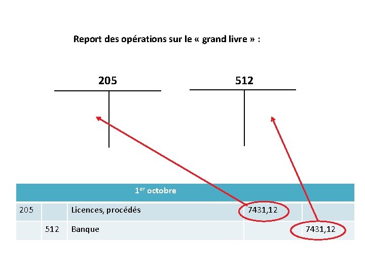 Report des opérations sur le « grand livre » : 205 512 7431, 12