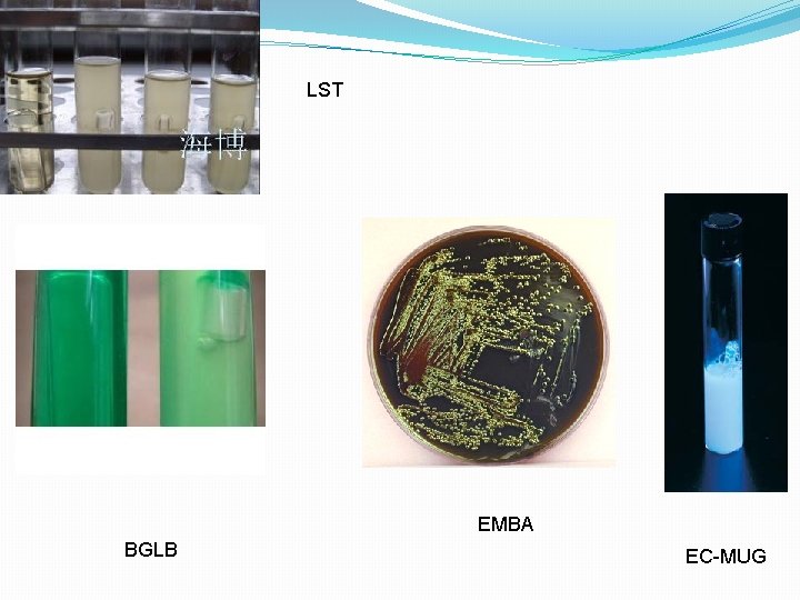 LST EMBA BGLB EC-MUG  LST EMBA BGLB EC-MUG