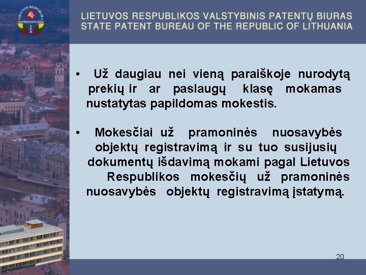  • Už daugiau nei vieną paraiškoje nurodytą prekių ir ar paslaugų klasę mokamas